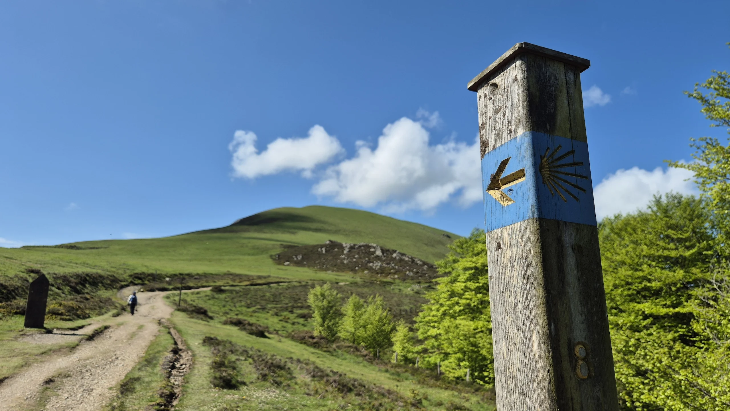 Camino de Santiago