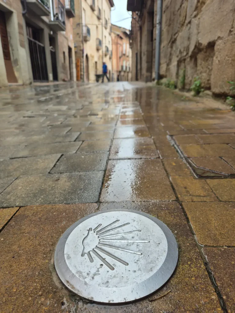Silver scallop-shell marker on a damp pavement on the Camino de Santiago