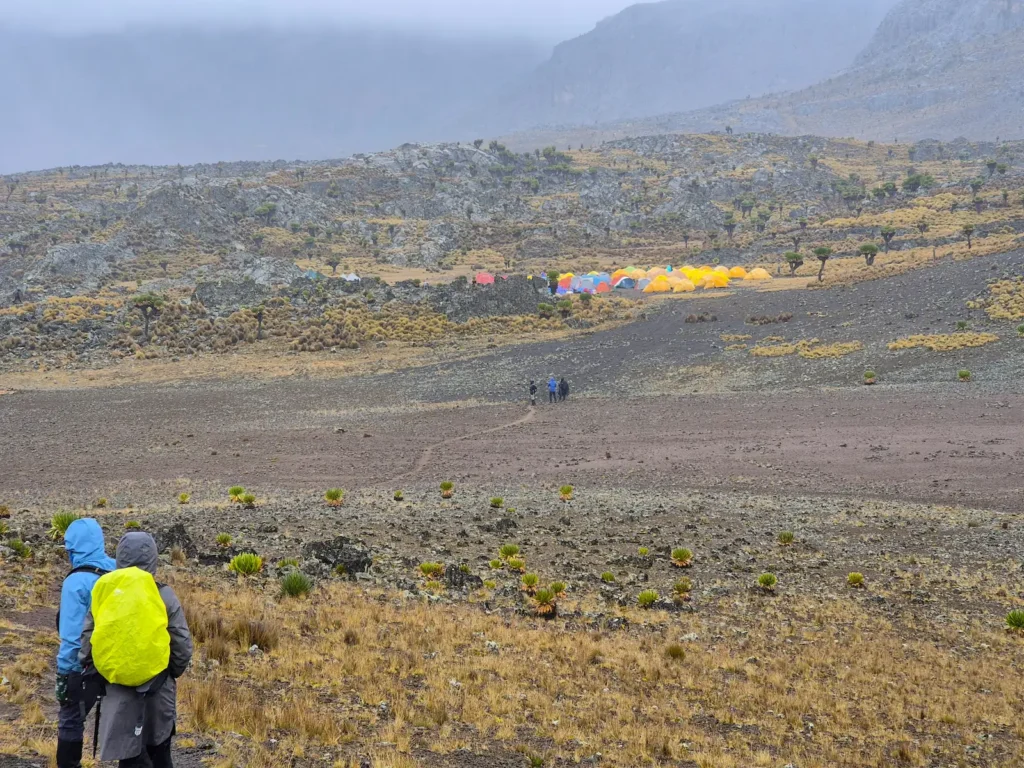 Tents pitched at Mintos on Mount Kenya