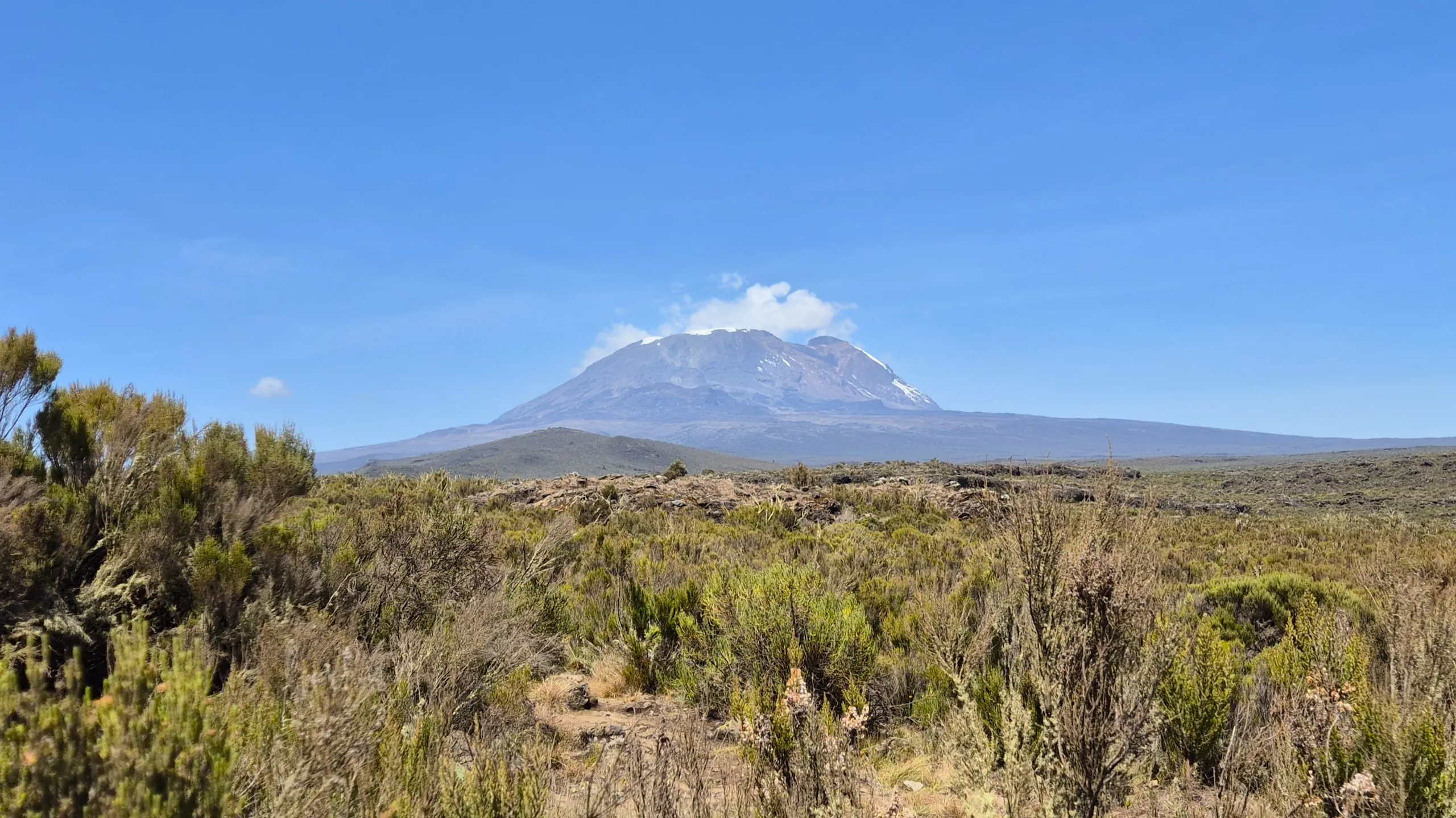Kilimanjaro