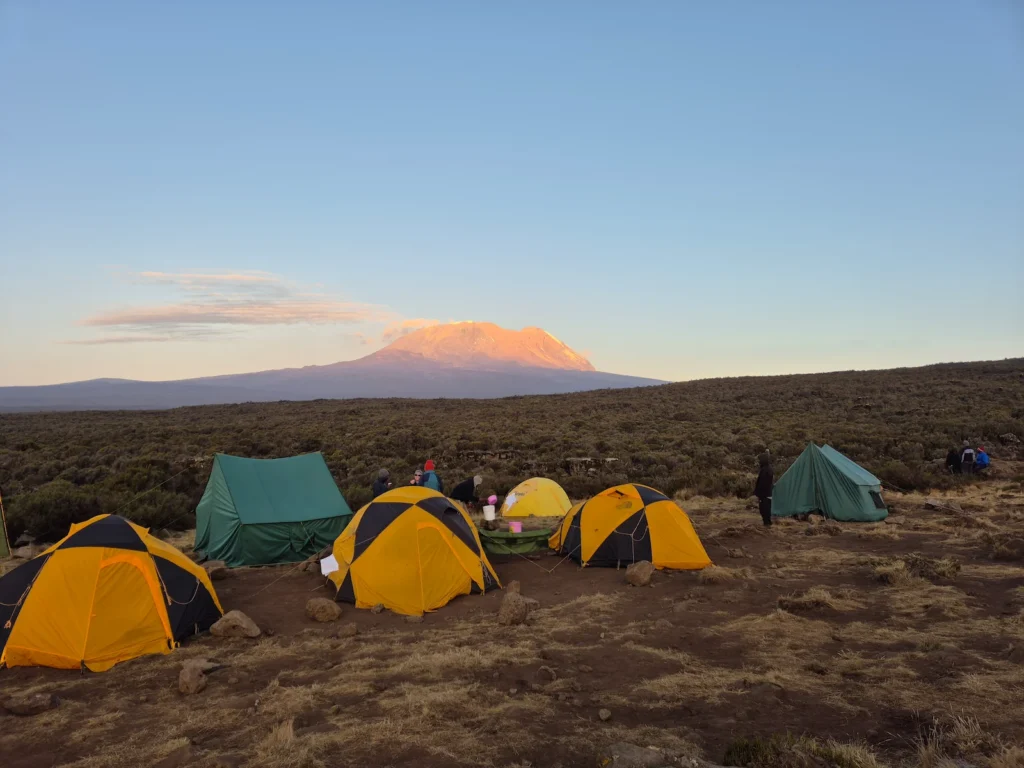 Tents pitched at Shira 1 Camp with Kilimanjaro's peak in the background
