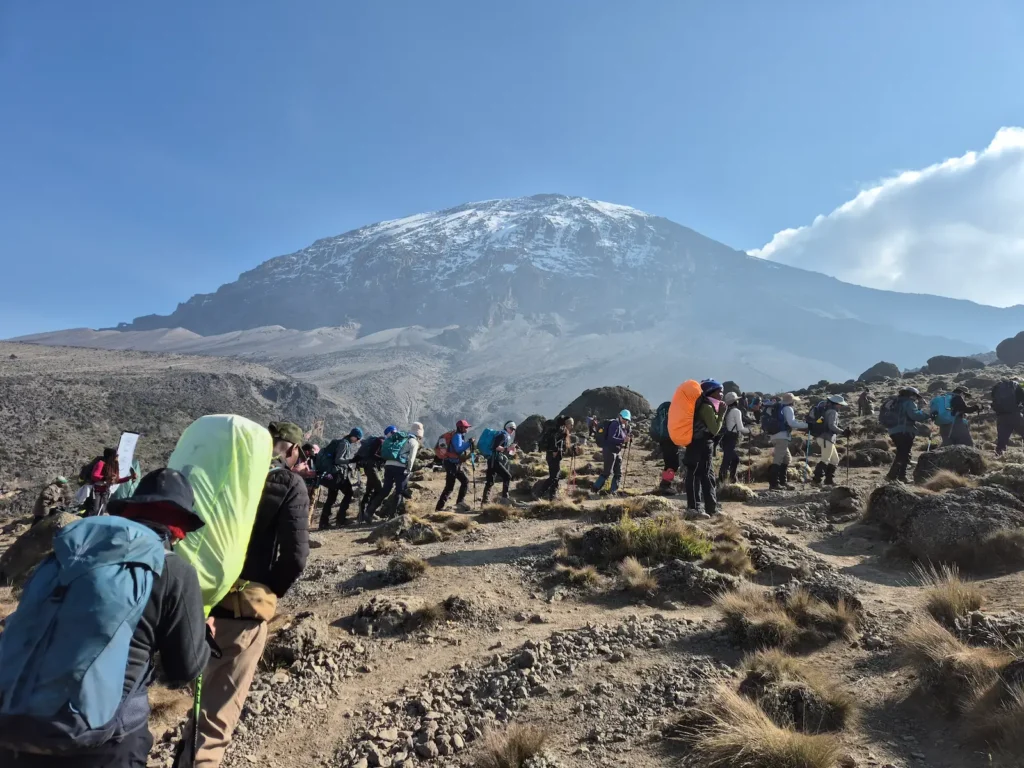 A line of hikers on Kilimanjaro