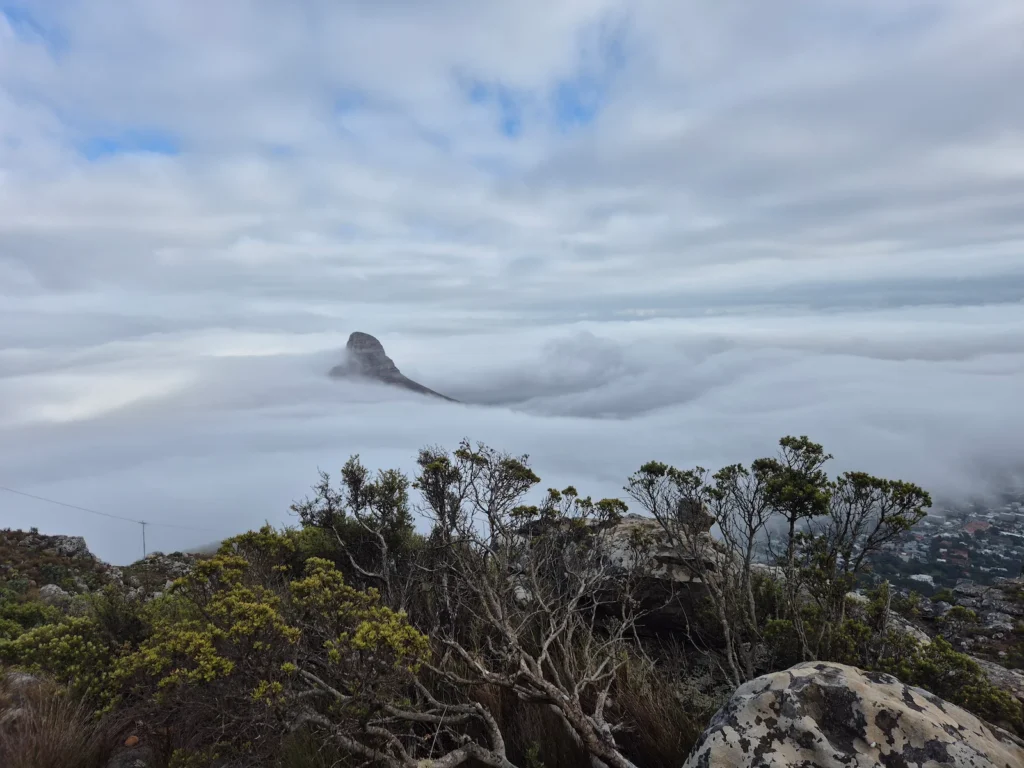 Lion's Head peeking through the clouds on Table Mountain