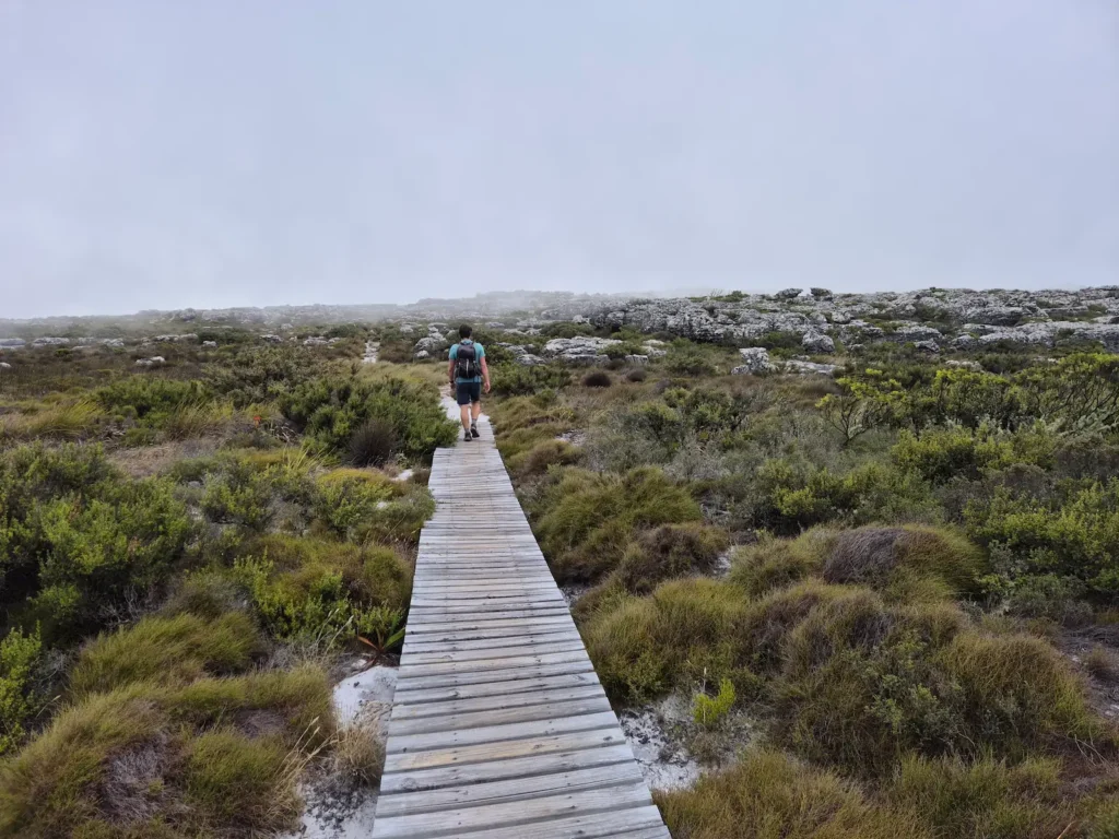 Hiker on a boardwalk on Table Mountain