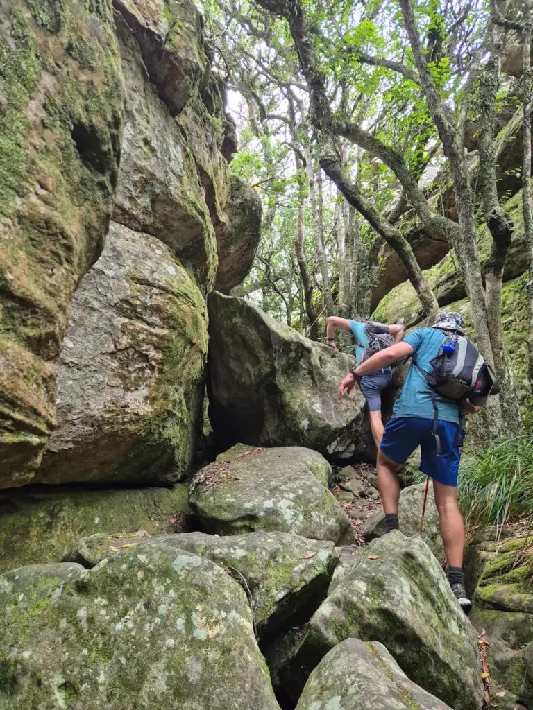 Two hikers scrambling at Tranquility Cracks on Table Mountain