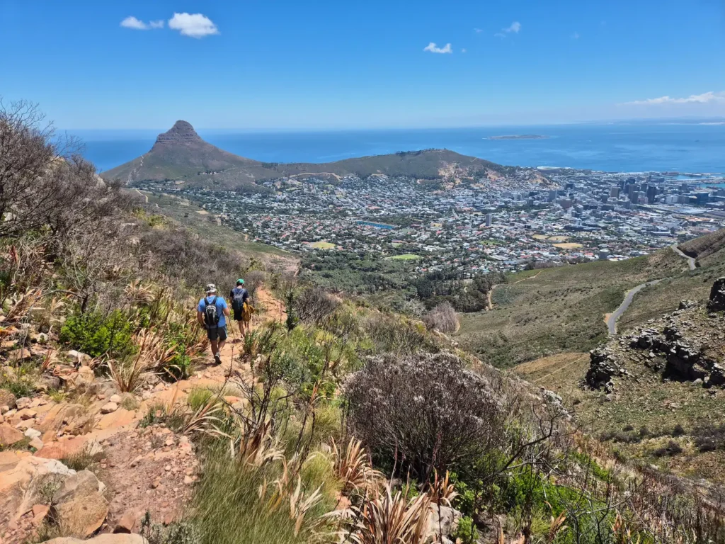 View of Lion's Head, Signal Hill, and the City Bowl from Table Mountain