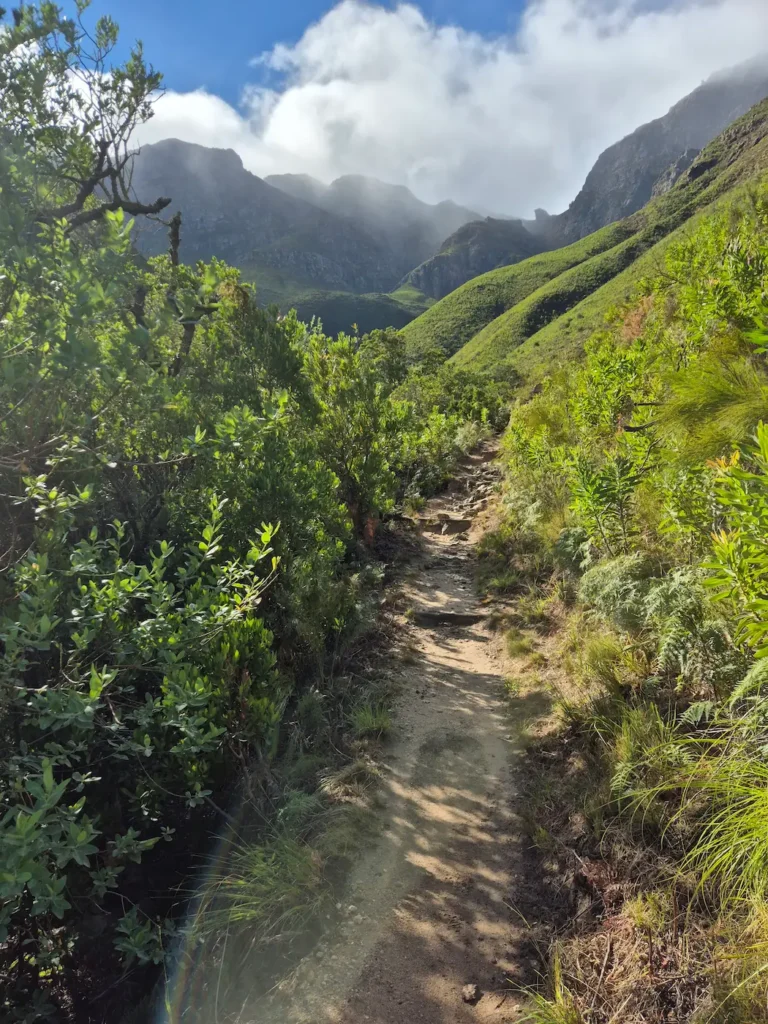 Dirt path in Jonkershoek Nature Reserve