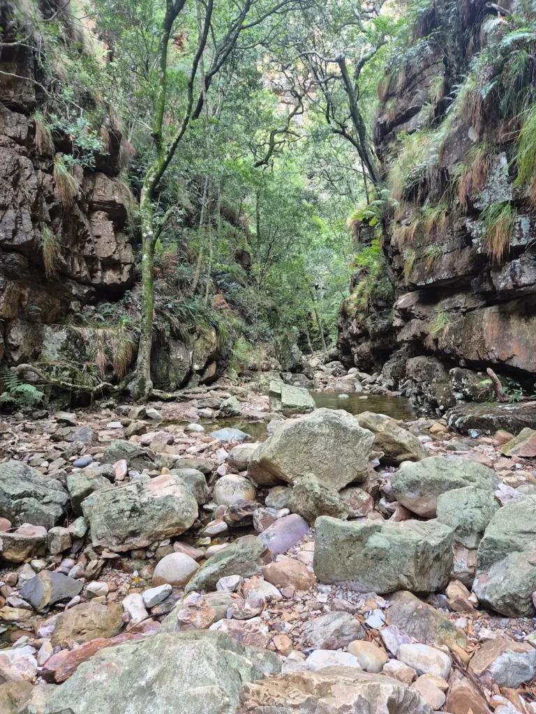 Stone river path in Jonkershoek Nature Reserve