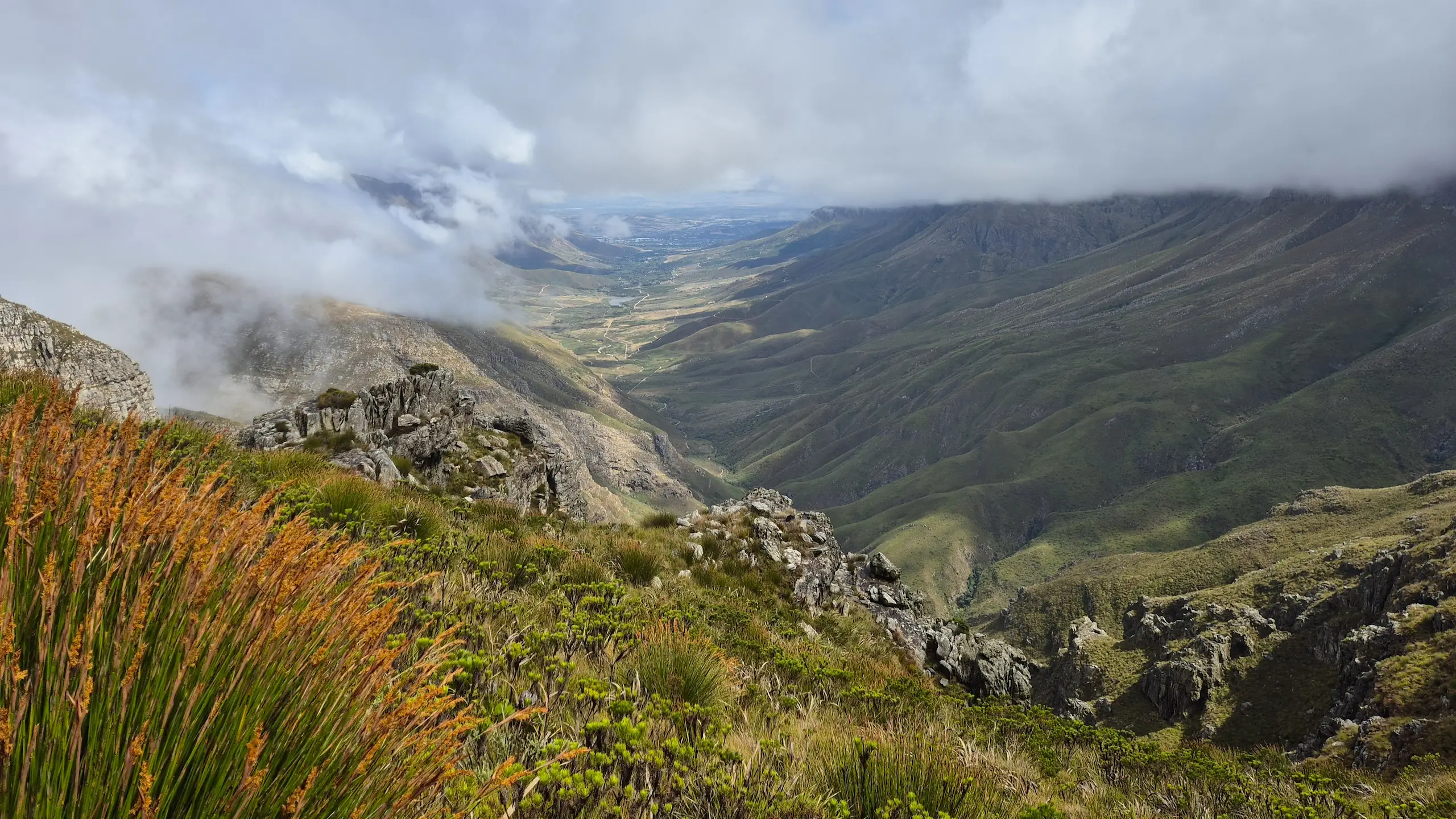 Jonkershoek Nature Reserve