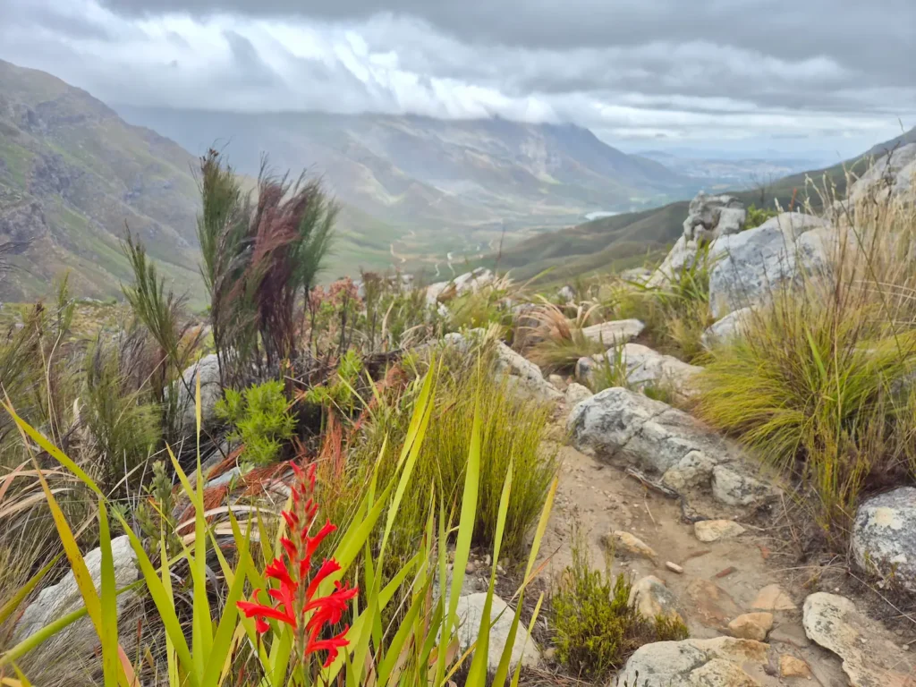 View of Jonkershoek Valley