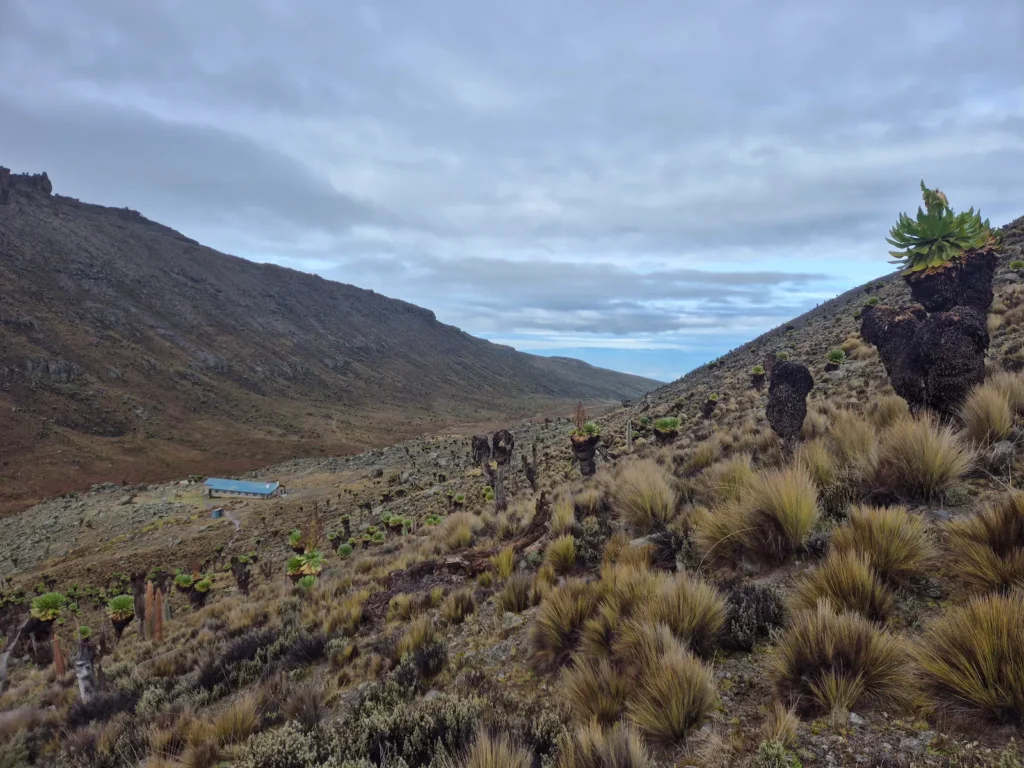 Mackinder's Camp in Teleki Valley on Mount Kenya