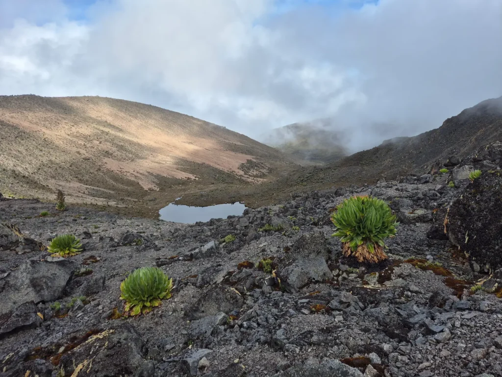 Emerald Tarn on Mount Kenya