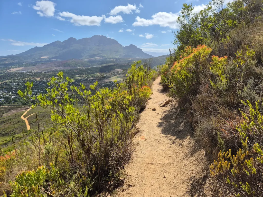 View of Simonsberg on the ascent to Stellenboschberg