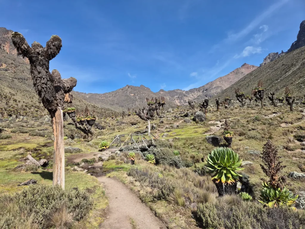 Mackinder Valley on Mount Kenya