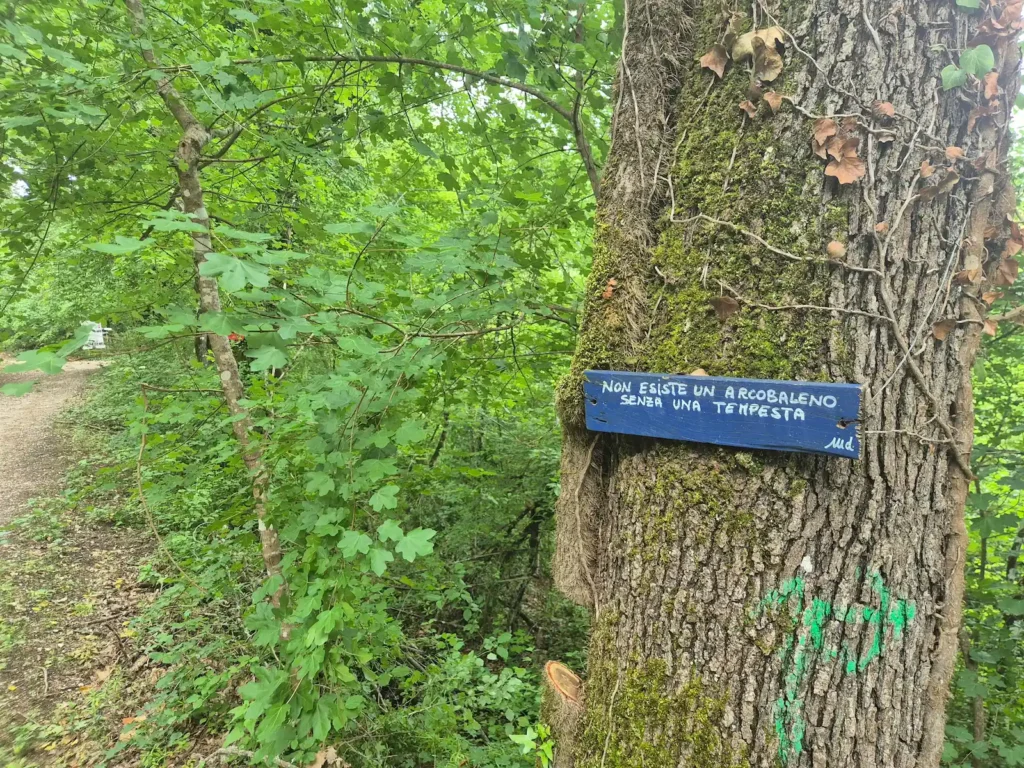 A motivation quote in Italian posted to a forest tree