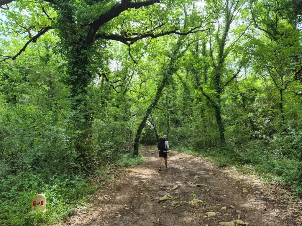Simon walking along a forest path in Tuscany