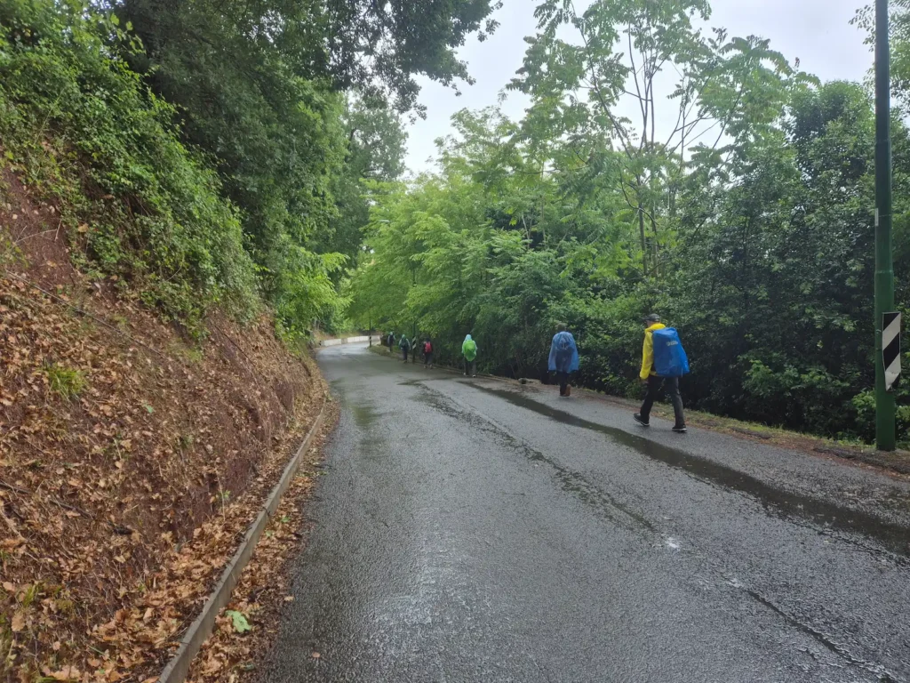 A line of hikers on a wet road towards Siena