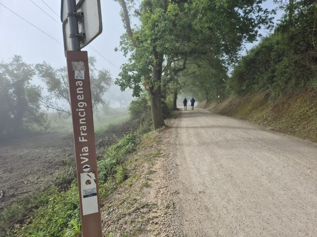 A forest-covered gravel track with a Via Francigena post on the side 