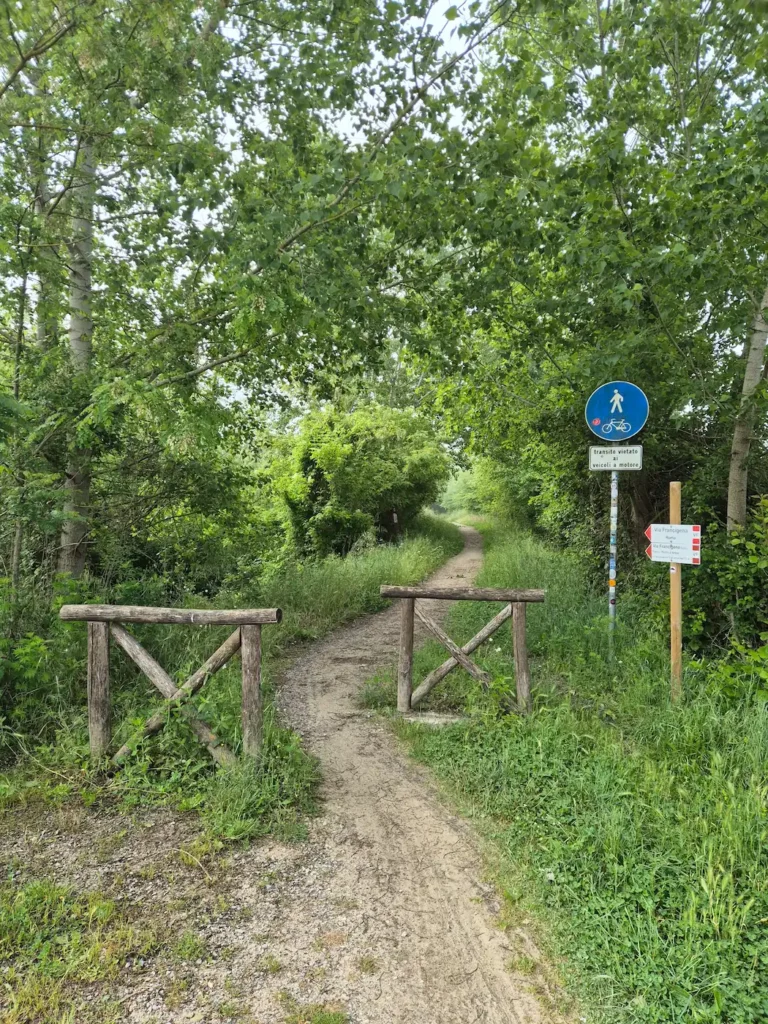 A gravel path lined with bushes and trees  