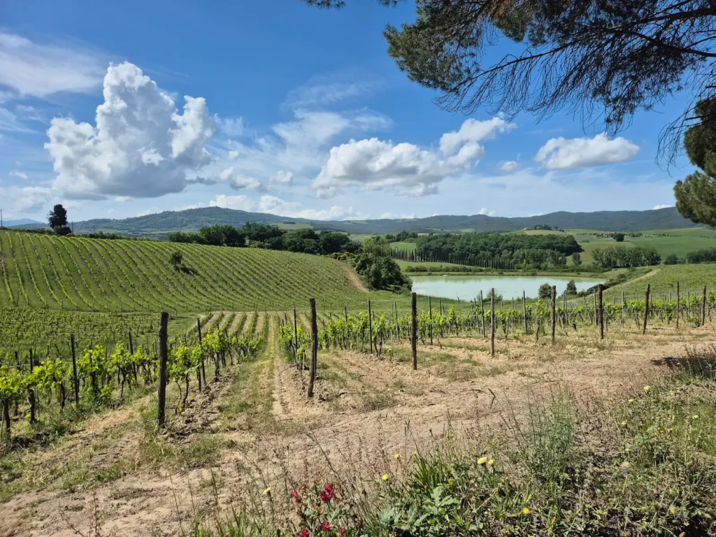 View of Tuscany's rolling hills and vineyards