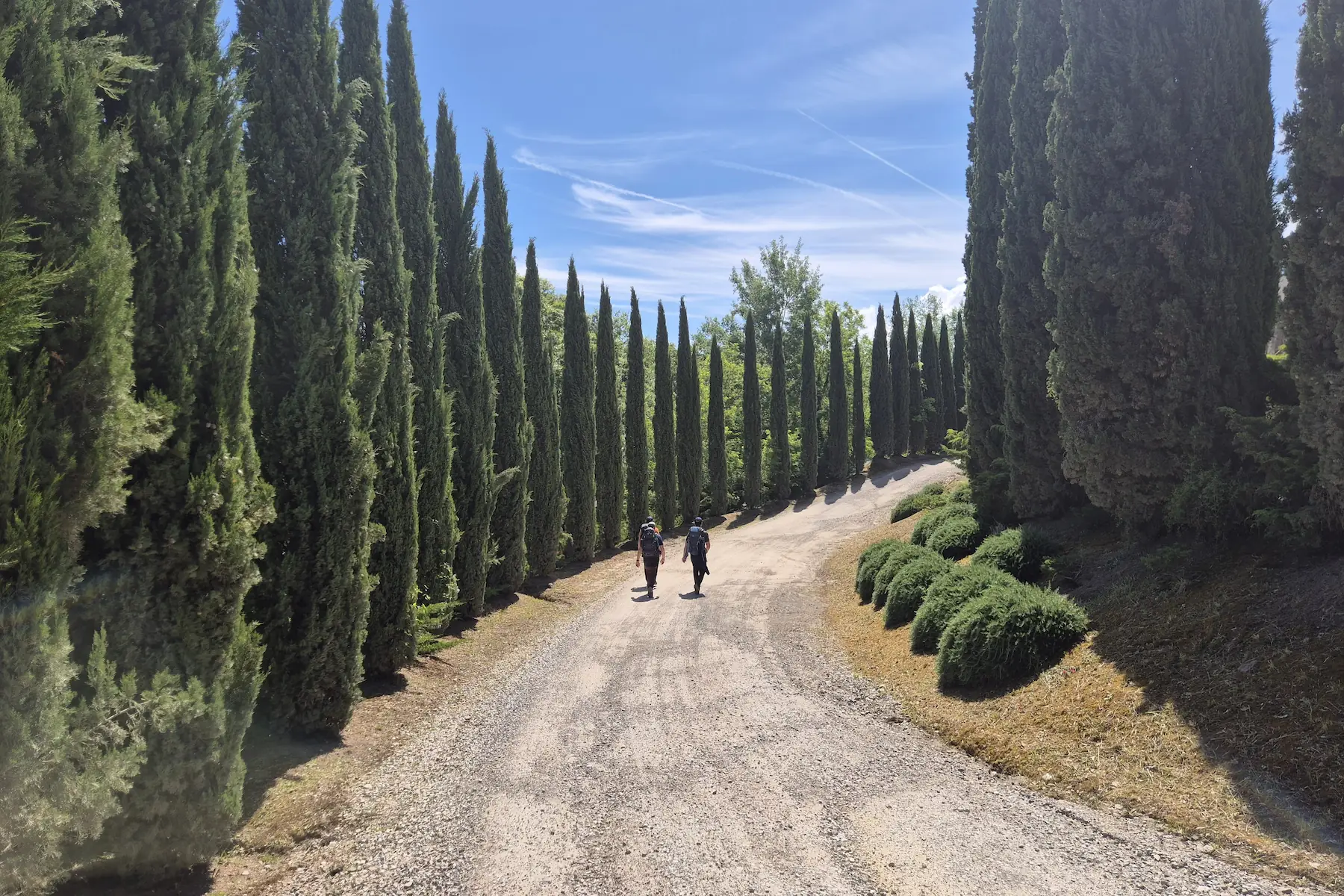 Tuscany Day 5: Buonconvento – Montalcino
