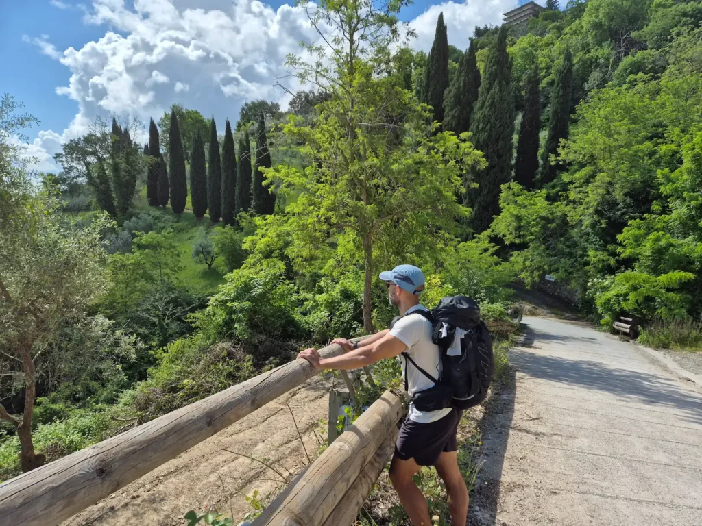 Simon looking over a wooden rail beside a gravel track lined with cypress and other trees