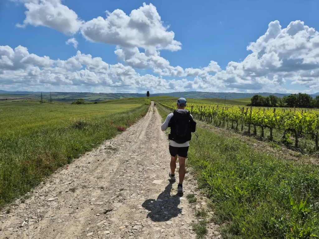 Simon walking along a gravel track beside a wheat field and vineyard