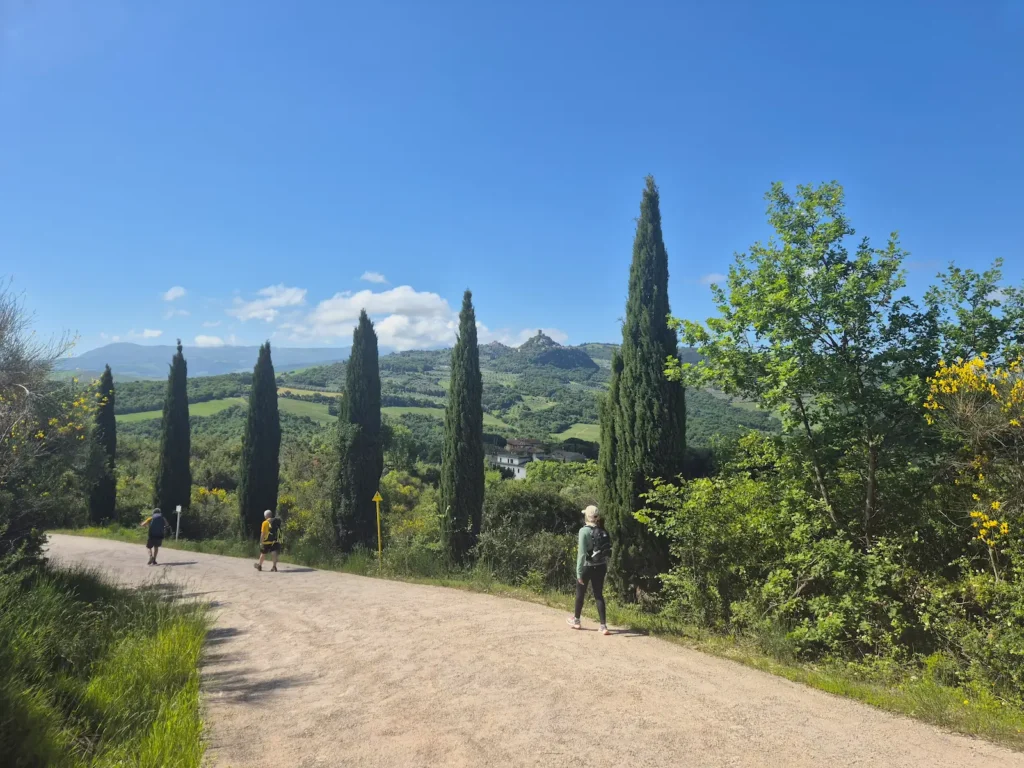 Eve and two hikers walking along a gravel road beside cypress trees