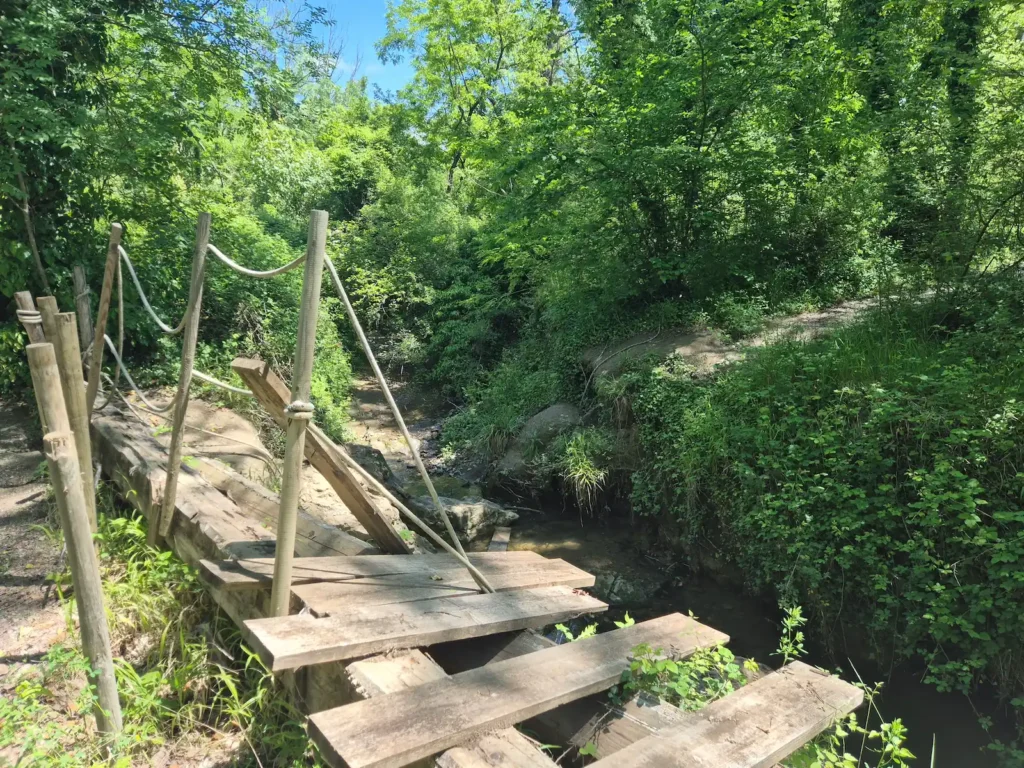 A collapsed footbridge over a stream in a forest
