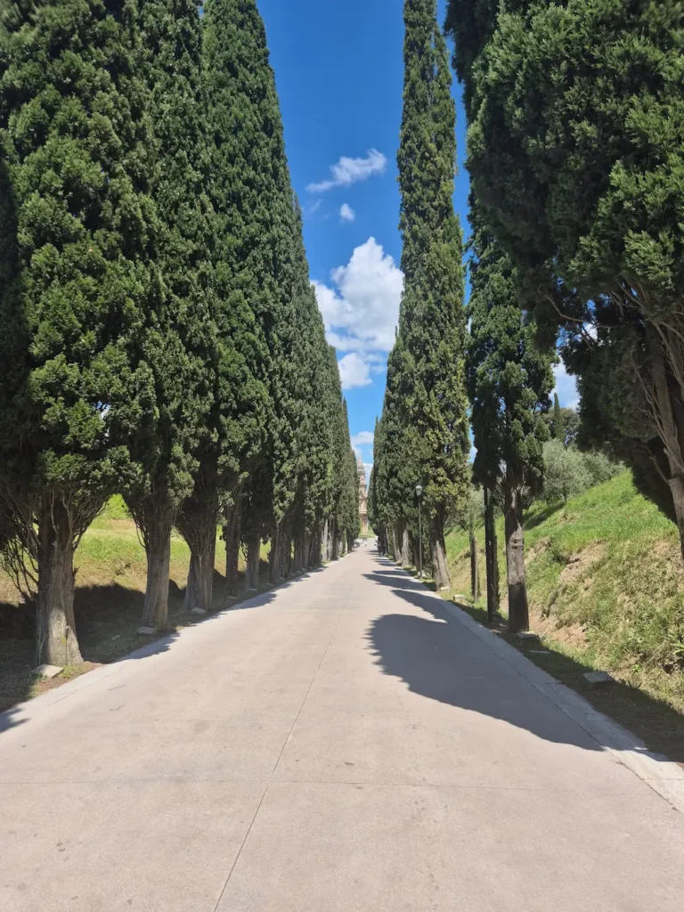 Viale della Rimembranza cypress avenue in Montepulciano